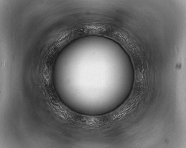 X0000100981109200806241536