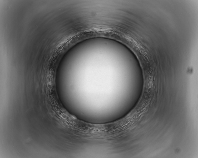 X0000100981110200806241536