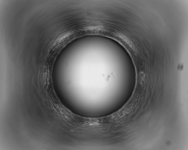 X0000100981111200806241536