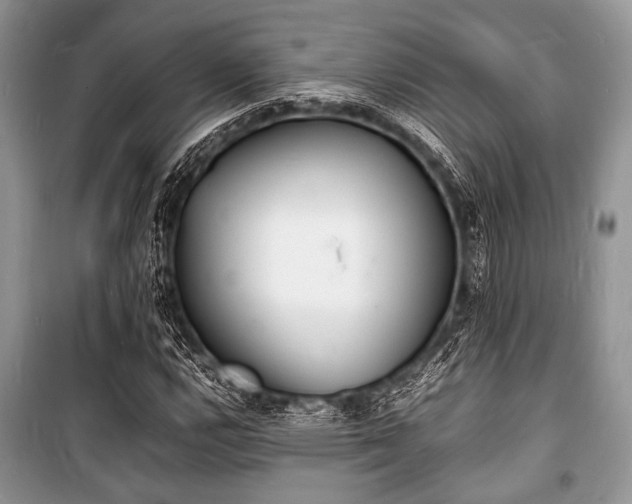 X0000100981112200806241536