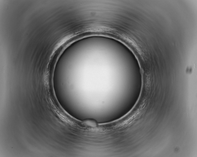 X0000100981114200806241536