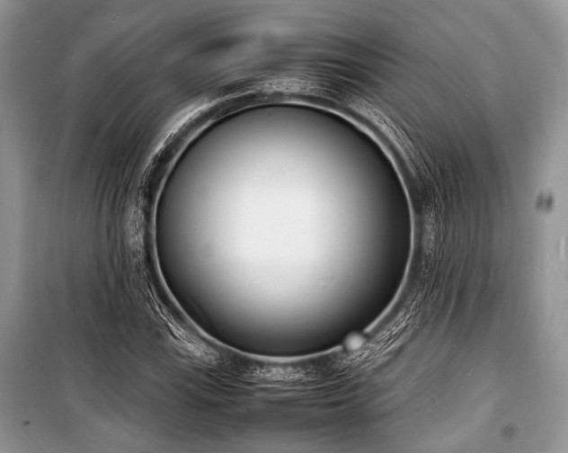 X0000100981115200806241536