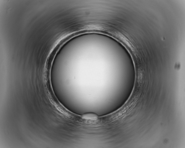 X0000100981116200806241536
