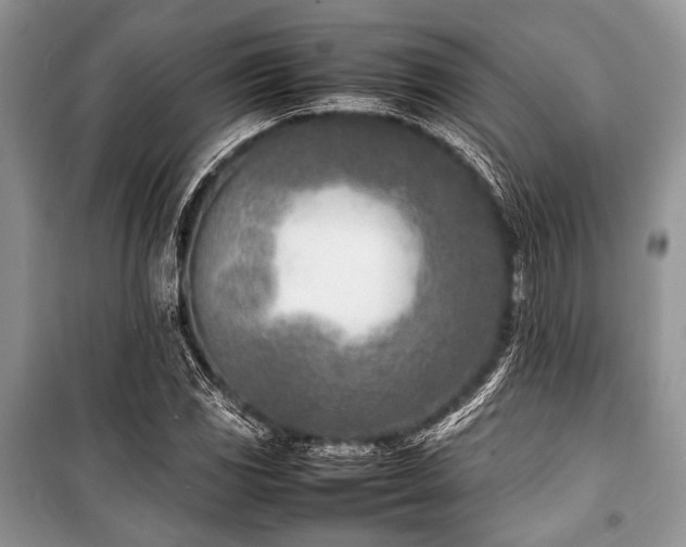 X0000100981117200806241536