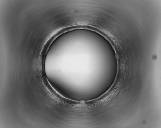 X0000100981118200806241536