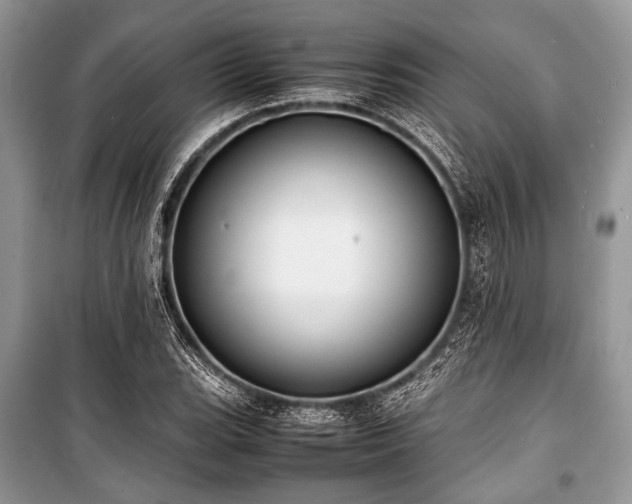 X0000100981119200806241536
