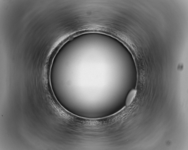 X0000100981120200806241536