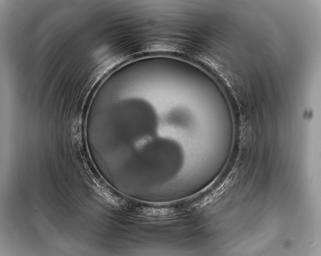 X0000100981121200806241536