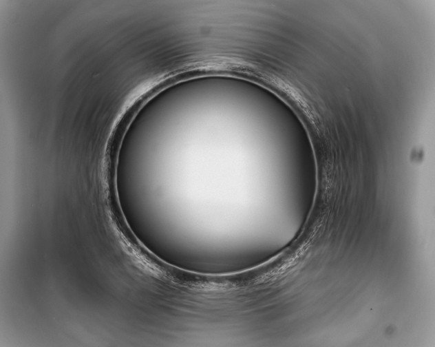 X0000100981122200806241536