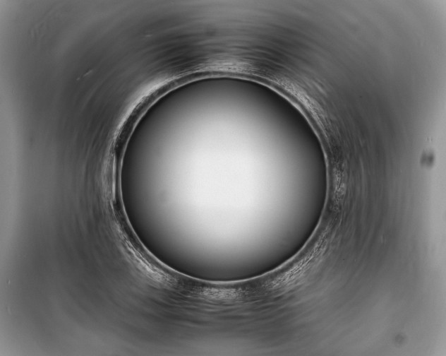 X0000100981123200806241536