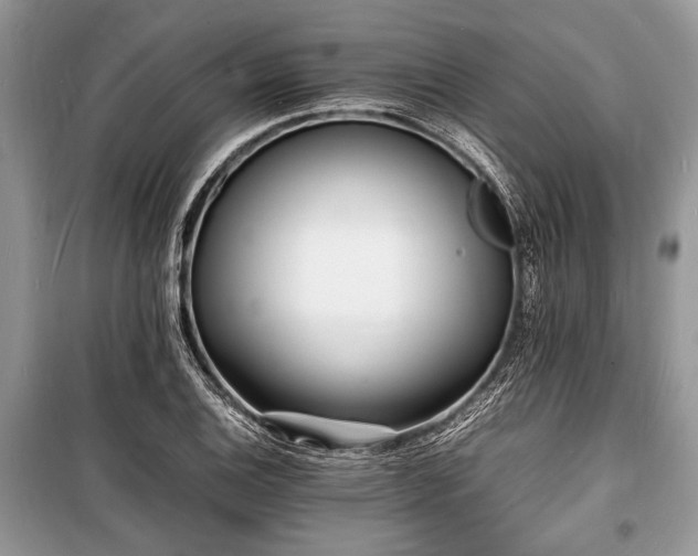 X0000100981124200806241536