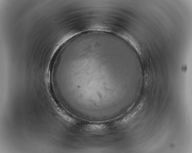 X0000100981125200806241536
