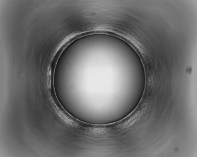 X0000100981126200806241536