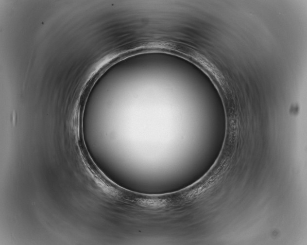 X0000100981127200806241536
