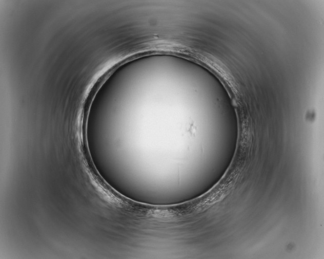 X0000100981128200806241536