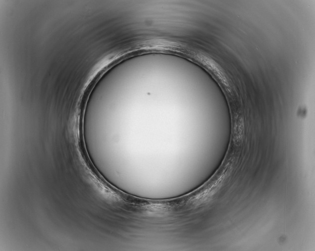 X0000100981130200806241536
