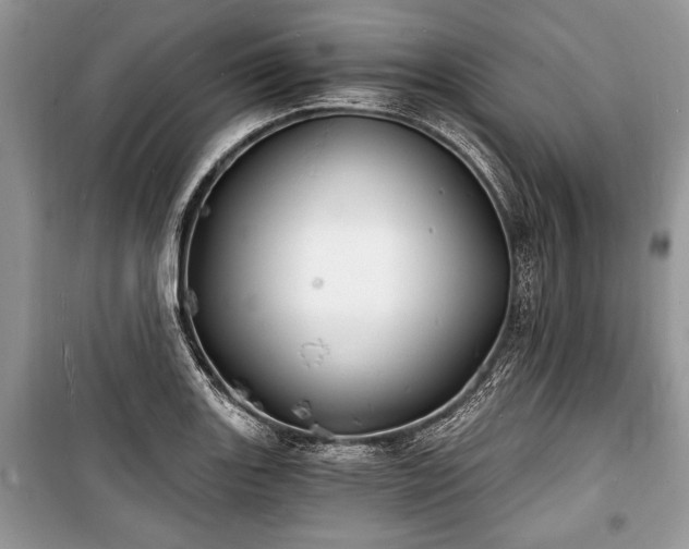 X0000100981131200806241536