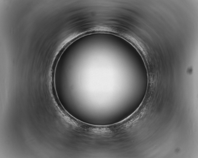 X0000100981133200806241536