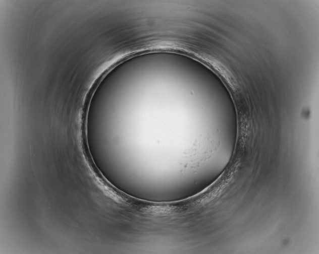 X0000100981134200806241536