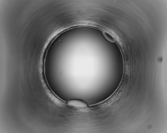 X0000100981136200806241536