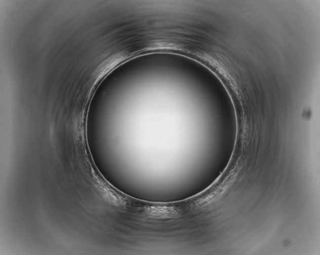 X0000100981137200806241536