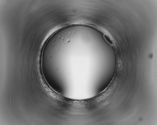 X0000100981138200806241536