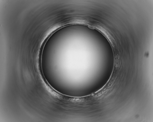 X0000100981139200806241536