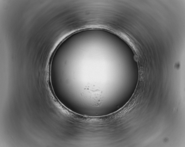 X0000100981140200806241536