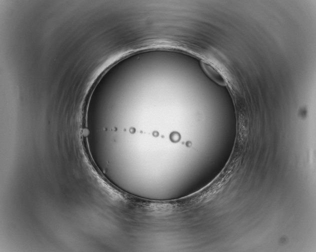 X0000100981142200806241536