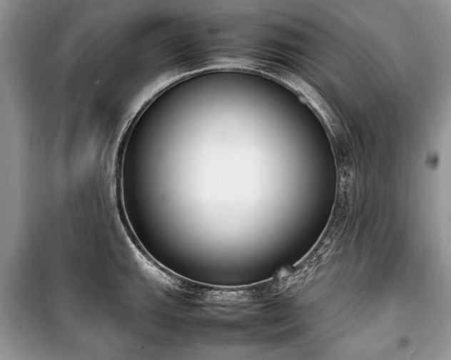 X0000100981143200806241536