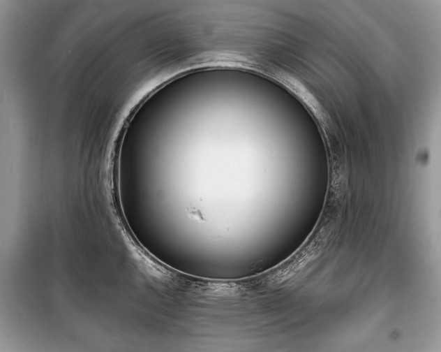 X0000100981144200806241536