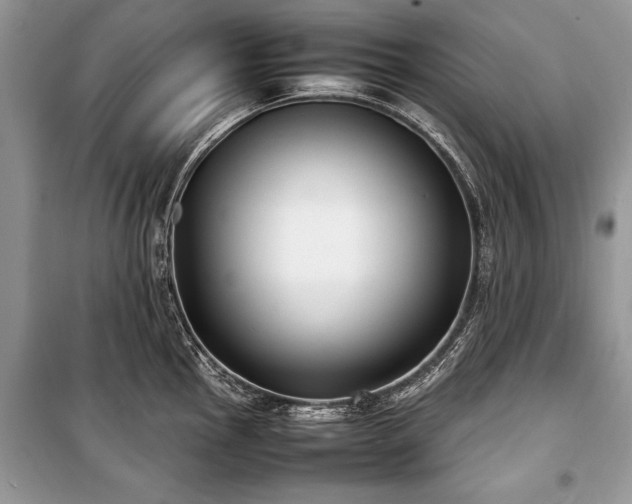 X0000100981145200806241536