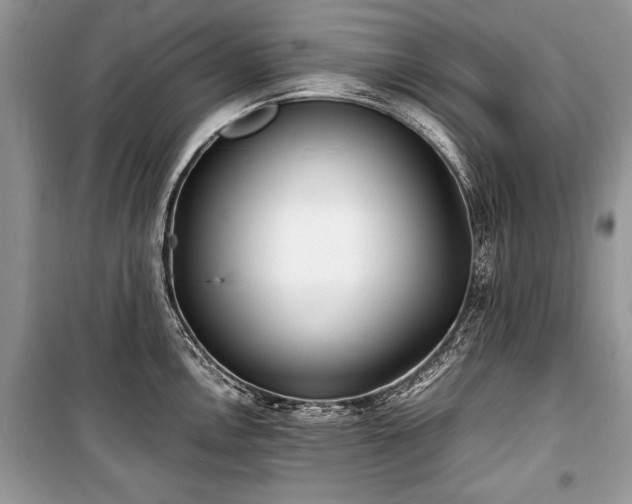 X0000100981146200806241536
