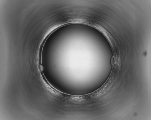 X0000100981147200806241536