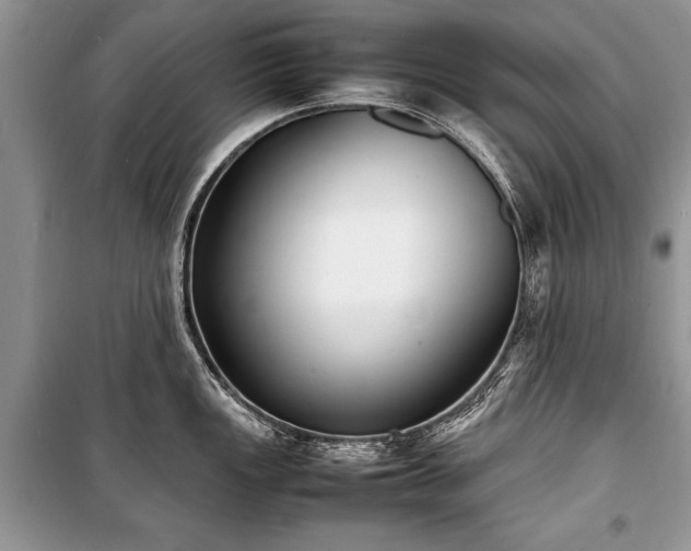 X0000100981149200806241537