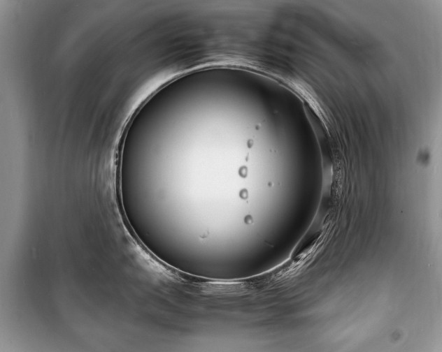 X0000100981151200806241537