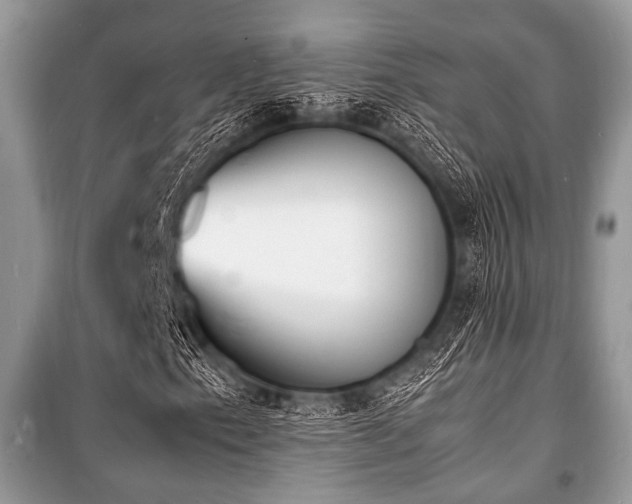 X0000100981153200806241536