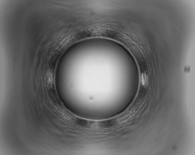 X0000100981155200806241536
