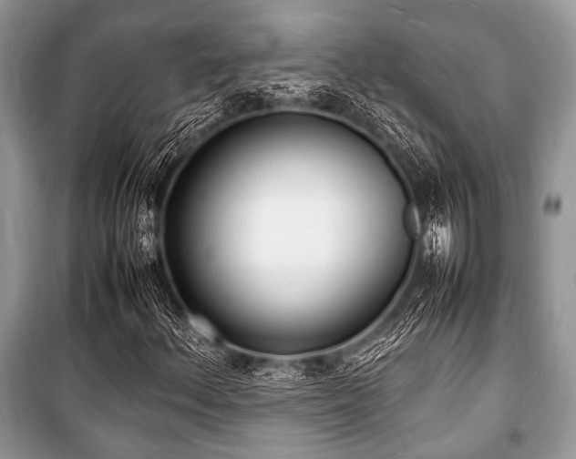 X0000100981156200806241536