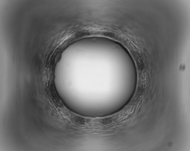 X0000100981157200806241536