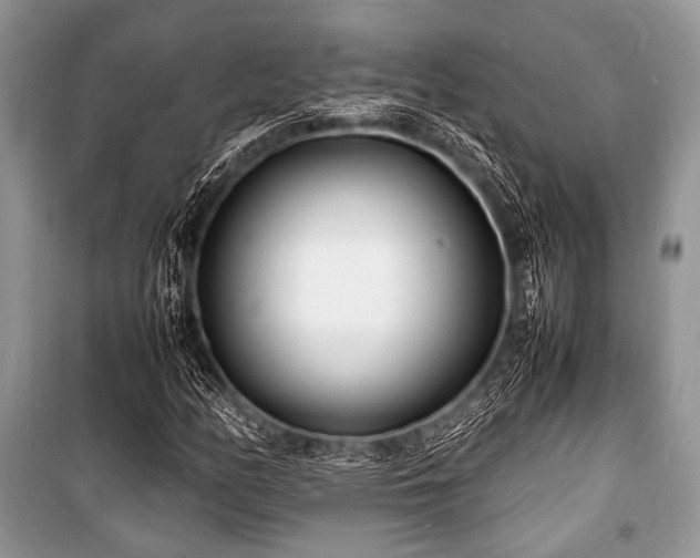 X0000100981158200806241536