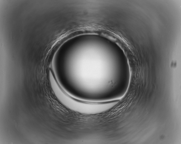 X0000100981160200806241536