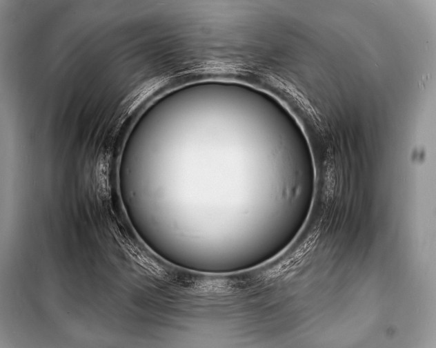 X0000100981162200806241536