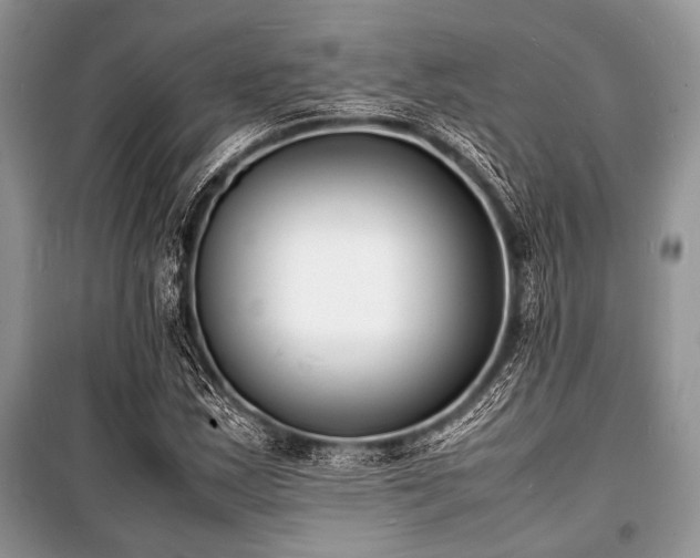 X0000100981163200806241536