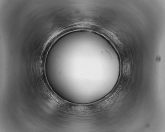 X0000100981164200806241536