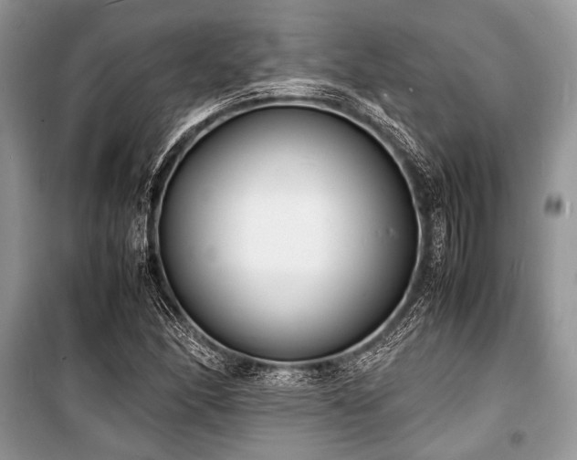 X0000100981166200806241536