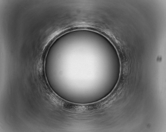 X0000100981167200806241536
