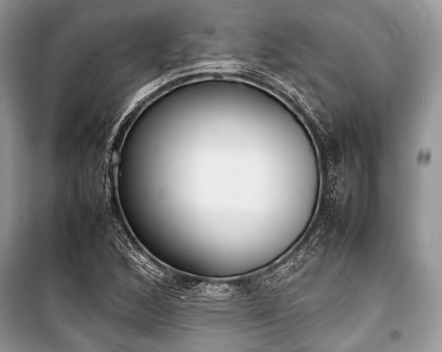 X0000100981168200806241535