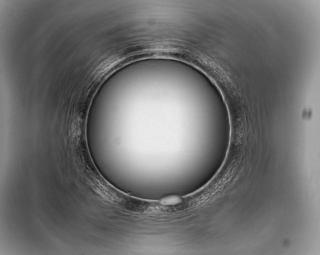 X0000100981169200806241535