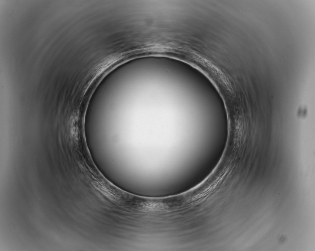 X0000100981170200806241535